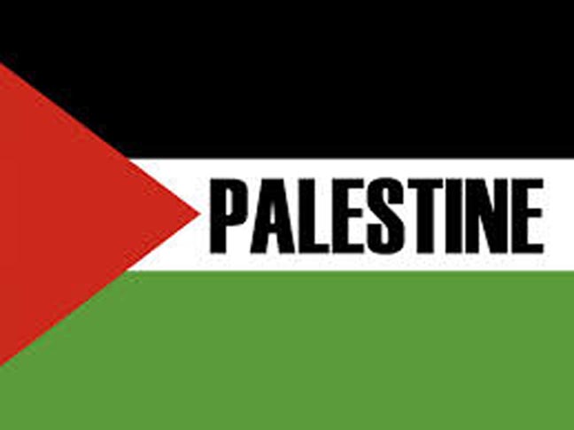 plf palestine flag